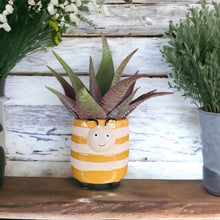 Load image into Gallery viewer, Plant Pot Planter Honey Bee