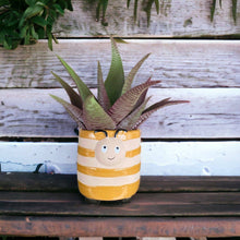 Load image into Gallery viewer, Plant Pot Planter Honey Bee