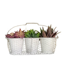 Load image into Gallery viewer, Three Pot Planter Herbs French White