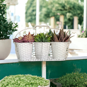 Three Pot Planter Herbs French White