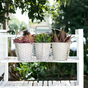 Three Pot Planter Herbs French White