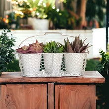 Load image into Gallery viewer, Three Pot Planter Herbs French White