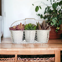 Load image into Gallery viewer, Three Pot Planter Herbs French White