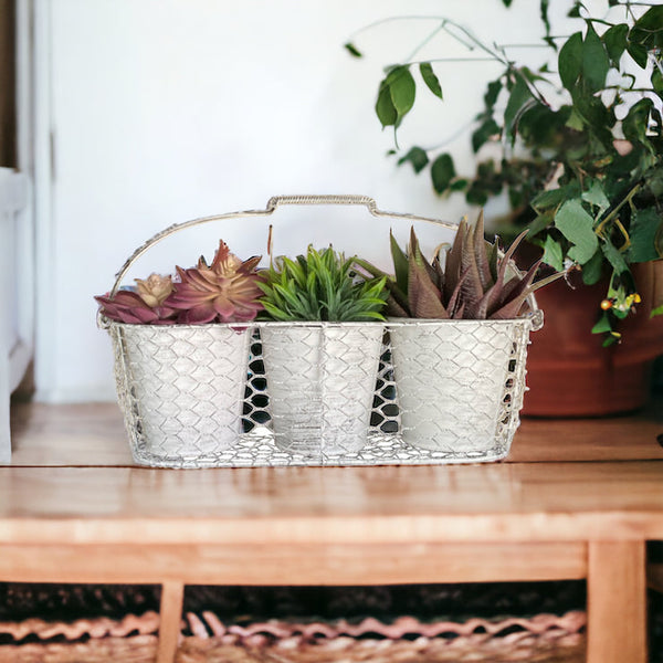 Three Pot Planter Herbs French White