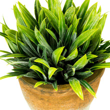 Load image into Gallery viewer, Pot Plant Grass Artificial Decorative