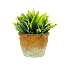 Load image into Gallery viewer, Pot Plant Grass Artificial Decorative