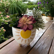 Load image into Gallery viewer, Sunshine Plant Pot Planter Garden Bright