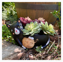 Load image into Gallery viewer, Cat Funky Yarn Black Plant Pot